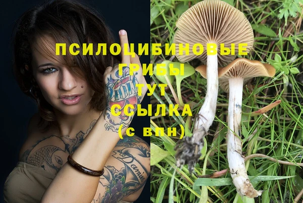 дистиллят марихуана Кукмор