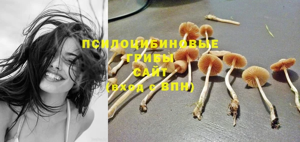 гашик Кулебаки