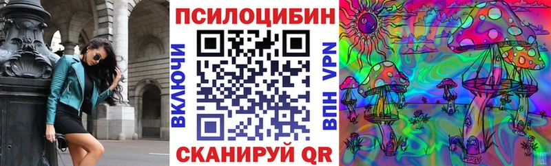 Псилоцибиновые грибы Psilocybine cubensis  Называевск 
